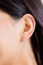 Load image into Gallery viewer, Twin Sparkle Silver Stud Earrings
