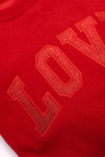 Load image into Gallery viewer, Embroidered Love Glitter Sweatshirt in Four Colors
