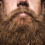 Load image into Gallery viewer, Beard Grooming Kit with Assorted Oils

