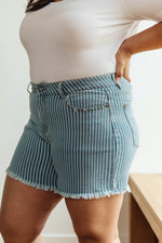 Load image into Gallery viewer, Park Striped Shorts
