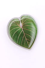 Load image into Gallery viewer, Plant Lover Phone Girp Tropical Leaf
